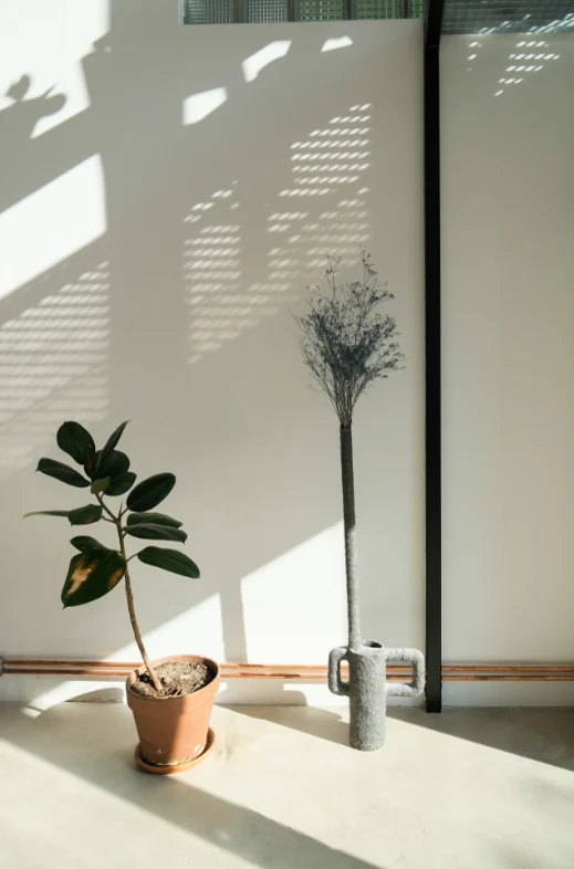 Loft de Montreuil ouvert sur un jardin privé · 07